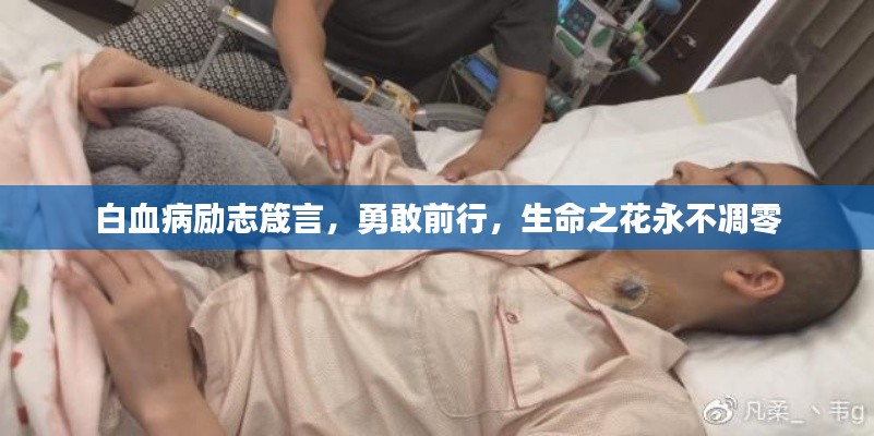 白血病勵志箴言，勇敢前行，生命之花永不凋零