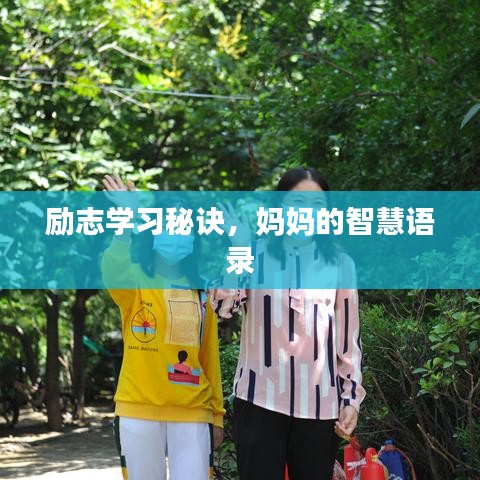 勵(lì)志學(xué)習(xí)秘訣，媽媽的智慧語(yǔ)錄