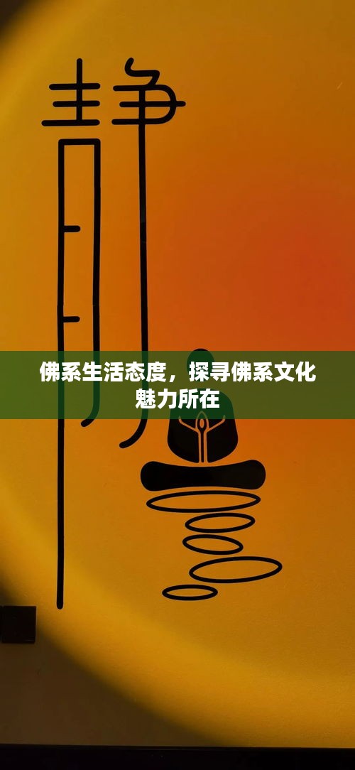 佛系生活態(tài)度，探尋佛系文化魅力所在