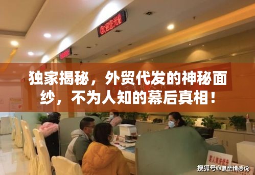 獨家揭秘，外貿(mào)代發(fā)的神秘面紗，不為人知的幕后真相！