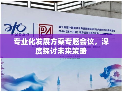 專業(yè)化發(fā)展方案專題會議，深度探討未來策略