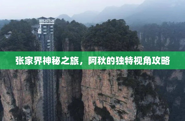 張家界神秘之旅，阿秋的獨特視角攻略