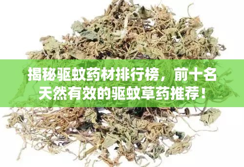 揭秘驅(qū)蚊藥材排行榜，前十名天然有效的驅(qū)蚊草藥推薦！