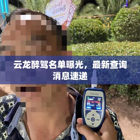 云龍醉駕名單曝光，最新查詢消息速遞
