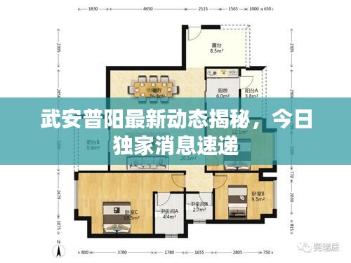 武安普陽最新動態(tài)揭秘，今日獨(dú)家消息速遞