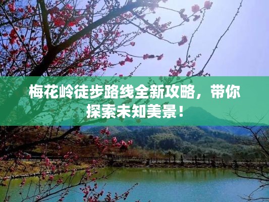 梅花嶺徒步路線全新攻略，帶你探索未知美景！