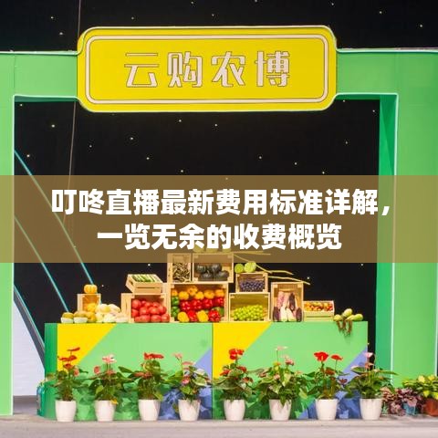 叮咚直播最新費用標準詳解，一覽無余的收費概覽