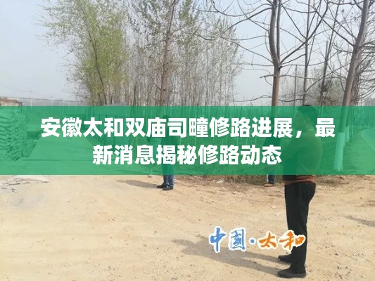 安徽太和雙廟司疃修路進展，最新消息揭秘修路動態(tài)