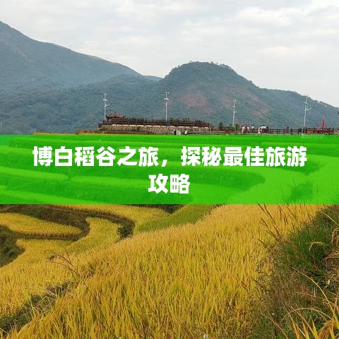 博白稻谷之旅，探秘最佳旅游攻略