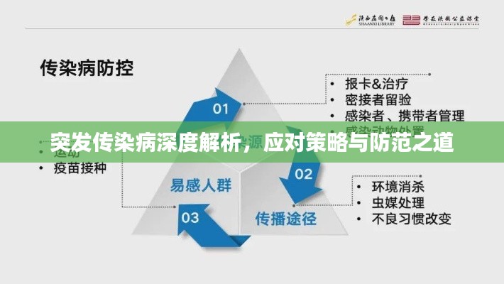 突發(fā)傳染病深度解析，應(yīng)對策略與防范之道