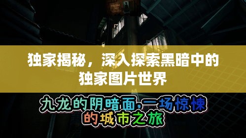 獨家揭秘，深入探索黑暗中的獨家圖片世界
