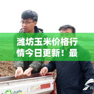 濰坊玉米價格行情今日更新！最新報價一網(wǎng)打盡