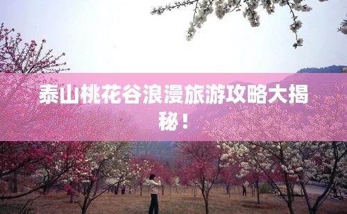 泰山桃花谷浪漫旅游攻略大揭秘！