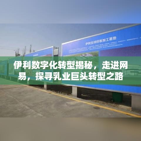 伊利數(shù)字化轉(zhuǎn)型揭秘，走進網(wǎng)易，探尋乳業(yè)巨頭轉(zhuǎn)型之路