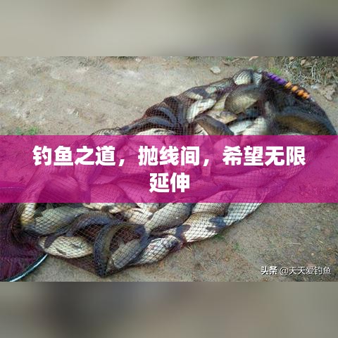 釣魚之道，拋線間，希望無限延伸
