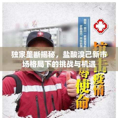 獨家壟斷揭秘，鹽酸溴己新市場格局下的挑戰(zhàn)與機遇