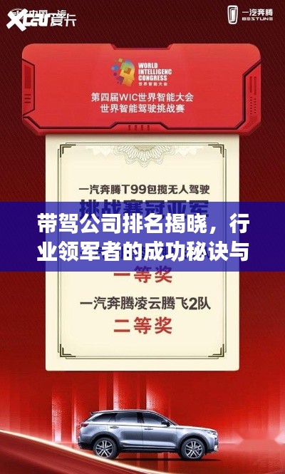 帶駕公司排名揭曉，行業(yè)領(lǐng)軍者的成功秘訣與秘密武器