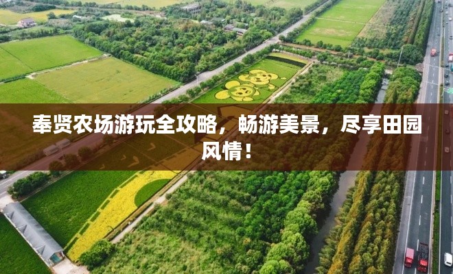 奉賢農(nóng)場游玩全攻略，暢游美景，盡享田園風(fēng)情！