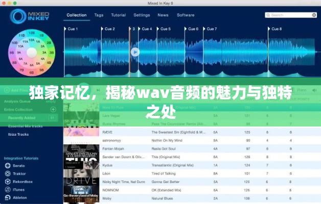 獨家記憶，揭秘wav音頻的魅力與獨特之處