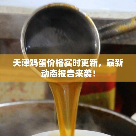 天津雞蛋價格實時更新，最新動態(tài)報告來襲！