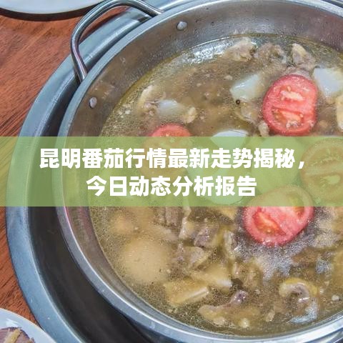 昆明番茄行情最新走勢揭秘，今日動態(tài)分析報告