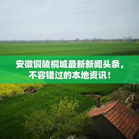 安徽銅陵桐城最新新聞頭條，不容錯過的本地資訊！