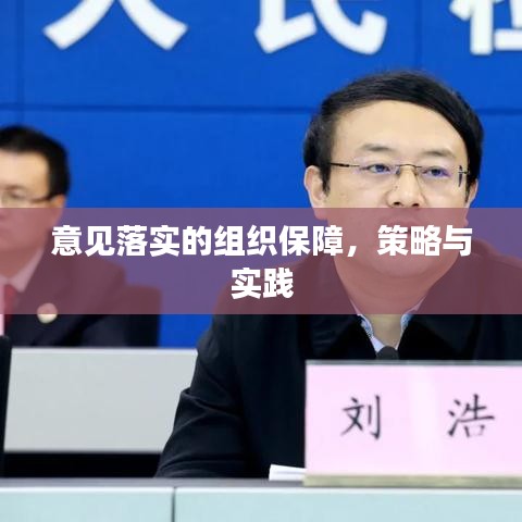意見落實(shí)的組織保障，策略與實(shí)踐