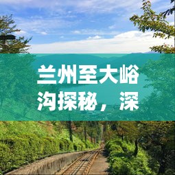 蘭州至大峪溝探秘，深度旅游攻略，暢游自然美景！