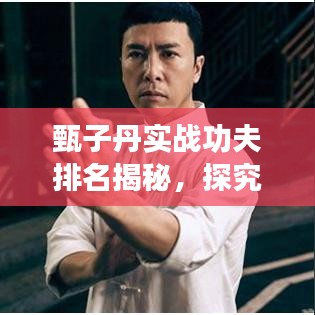 甄子丹實(shí)戰(zhàn)功夫排名揭秘，探究武術(shù)巨星的超凡實(shí)力