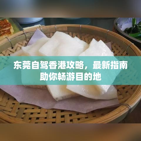 東莞自駕香港攻略，最新指南助你暢游目的地