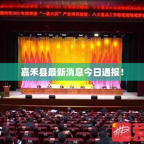 嘉禾縣最新消息今日通報！