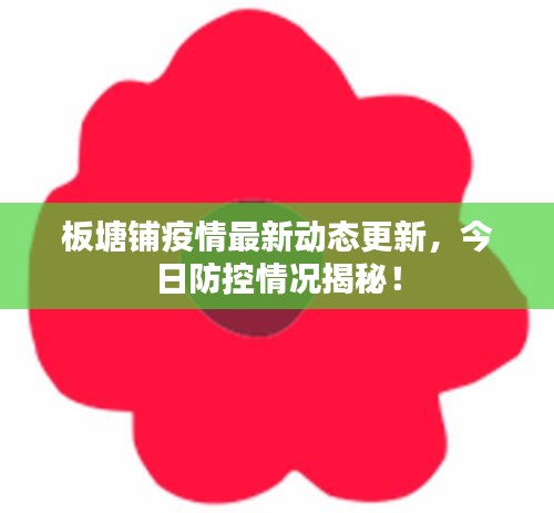 板塘鋪疫情最新動態(tài)更新，今日防控情況揭秘！