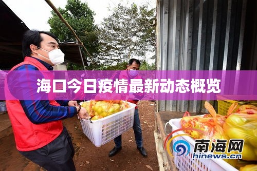 ?？诮袢找咔樽钚聞討B(tài)概覽