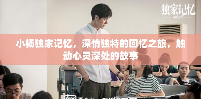 小楊獨(dú)家記憶，深情獨(dú)特的回憶之旅，觸動(dòng)心靈深處的故事