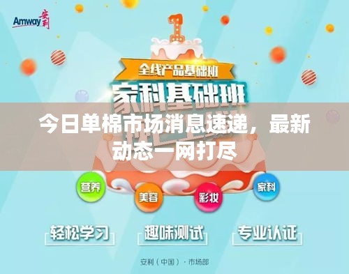 今日單棉市場消息速遞，最新動態(tài)一網(wǎng)打盡