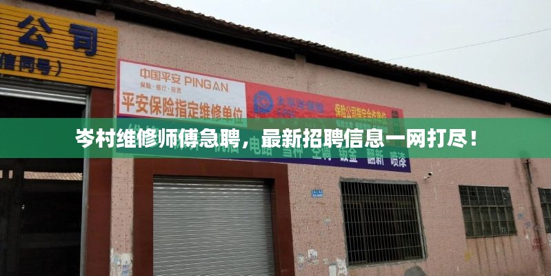 岑村維修師傅急聘，最新招聘信息一網(wǎng)打盡！