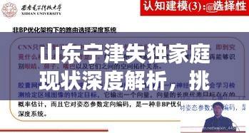 山東寧津失獨(dú)家庭現(xiàn)狀深度解析，挑戰(zhàn)與對策