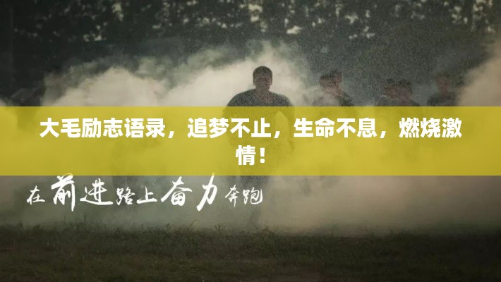 大毛勵志語錄，追夢不止，生命不息，燃燒激情！