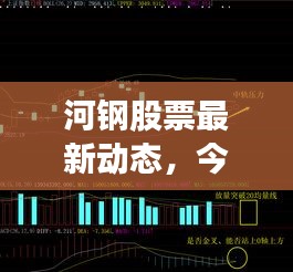 河鋼股票最新動(dòng)態(tài)，今日走勢(shì)分析與消息速遞