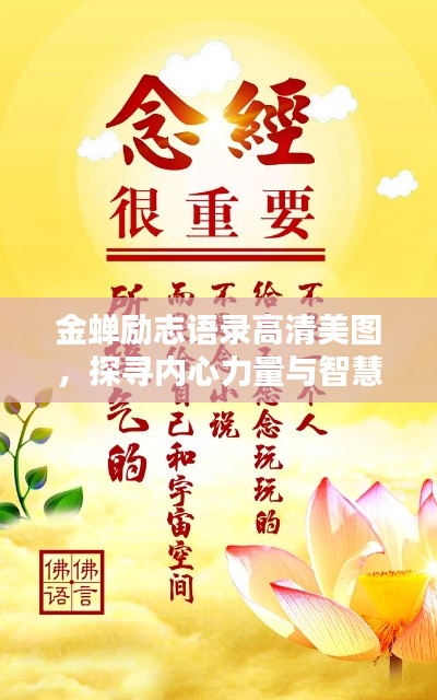 金蟬勵(lì)志語錄高清美圖，探尋內(nèi)心力量與智慧，激發(fā)無限潛能！
