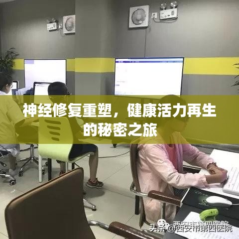 神經(jīng)修復(fù)重塑，健康活力再生的秘密之旅