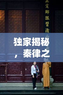 獨家揭秘，秦律之魅力——探尋古代法律的獨特韻味