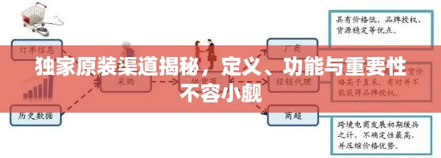 獨家原裝渠道揭秘，定義、功能與重要性不容小覷