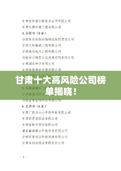 甘肅十大高風(fēng)險(xiǎn)公司榜單揭曉！