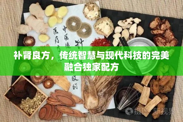 補(bǔ)腎良方，傳統(tǒng)智慧與現(xiàn)代科技的完美融合獨(dú)家配方