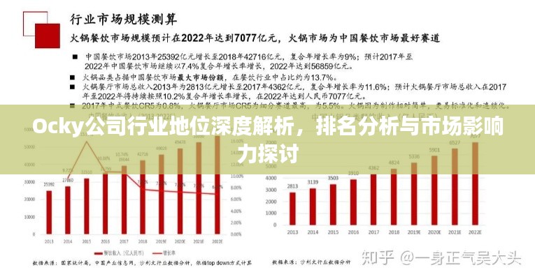 Ocky公司行業(yè)地位深度解析，排名分析與市場影響力探討