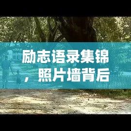 勵(lì)志語(yǔ)錄集錦，照片墻背后的力量