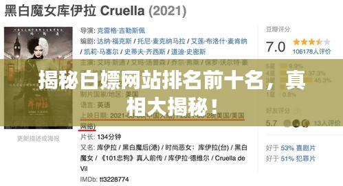 揭秘白嫖網(wǎng)站排名前十名，真相大揭秘！