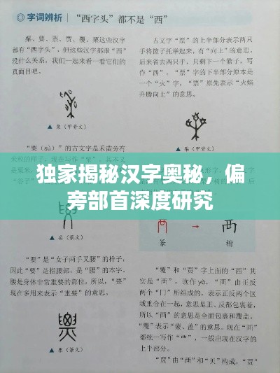 獨(dú)家揭秘漢字奧秘，偏旁部首深度研究