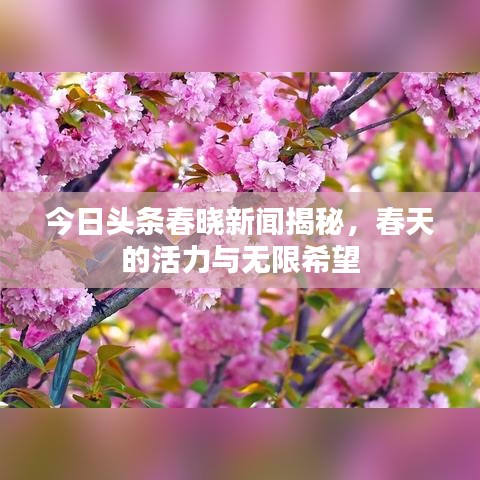 今日頭條春曉新聞揭秘，春天的活力與無限希望